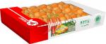 АП Печенье Азия с кунжутом 1,5 кг(кор*6)