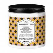 Маска «экстрим-восстановление» для безнадежных волос The Renaissance Circle 750ml