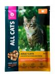 All Cats пауч для кошек Тефтельки с индейкой в соусе 85г 2802AL910 Ол Кэтс