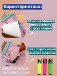 РАСПИСАНИЕ УРОКОВ ЛАМИНИРОВАННОЕ "УМНЫЕ КОТЯТА" 21х30 см (2725)