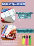РАСПИСАНИЕ УРОКОВ ЛАМИНИРОВАННОЕ "ТИК-ТОК" 21х30 см (2727)