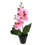 Цветочная композиция "Орхидея" 43см, в керамическом кашпо д10,5см h10см, цвет розовый (Китай)