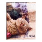 Дневник для 1-4 класса "Котёнок", твёрдая обложка, глянцевая ламинация, 48 листов