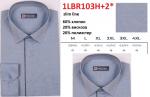 1LBR103H+2* БК (M-4XL) Сорочка мужская полупритал. дл. рукав, BROSTEM