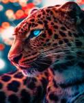 Голубоглазый леопард