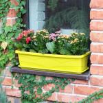 Ящик для цветов 9л балконный 60см с поддоном лимон