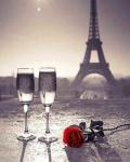 Шампанское и роза на фоне Эйфелевой башни