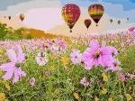 Воздушные шары над цветущей поляной