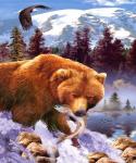 Бурый медведь ловит себе обед