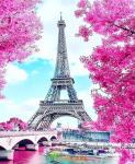 Эйфелевая башня в окружении розовых цветов
