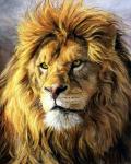 Величавый лев