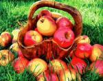 Деревянная мисочка с яблоками