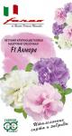 цПетуния Аллегра смесь круп. 10шт  (1071856291)
