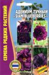Адениум тучный Siam Blueberries 3шт (Ред.сем)