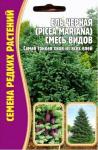 Ель черная Picea mariana смесь 20шт (Ред.сем)