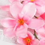 Цветы искусственные "Орхидея амезиелла" 65 см, розовый