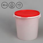 Бак пищевой «Для солений», 45 л, с герметичной крышкой, цвет МИКС