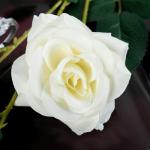 Цветы искусственные "Роза тройная" 6х61 см, белый