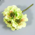 Цветы для декорирования "Эустома светло-зелёная" 1 букет=6 цветов 11 см
