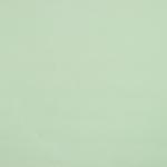 Штора рулонная «Нюд», блэкаут, 60?250 см, цвет зелёный