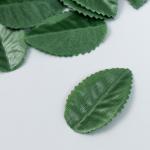 Декор для творчества "Листочек" набор 100 шт зелёный 4,5 см