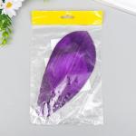 Молд пластик "Лист Орхидеи большой" 20,5х9 см