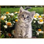 Алмазная мозаика «Послушный котёнок» 27 ? 20 см, 32 цв. + наклейка