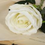 Цветы искусственные "Роза венесуэльская"  8х23 см, белый