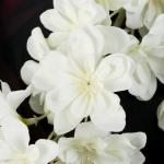 Цветы искусственные "Клематис" 6х80 см белый