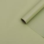 Бумага тишью с ламинацией, цвет зеленый бамбук, 58 см х 5 м 75 микрон