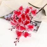 Цветы искусственные "Орхидея фаленопсис" 8х80 см, красный