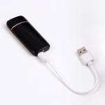 Зажигалка электронная "Сила, мужество, упорство", USB, спираль, 3 х 7.3 см, черная