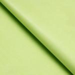 Бумага упаковочная тишью, зеленое яблоко, набор 20 шт, 50 см х 66 см