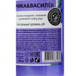 Крем-мыло антибактериальное Rain Черника-Василёк дозатор, 250 мл