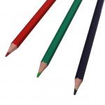 Цветные карандаши 12 цветов ZOO, пластиковые, шестигранные
