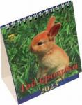 10301 2023 Календарь Год кролика