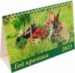 19305 2023 Календарь Год кролика
