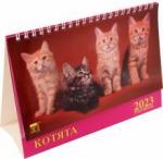 19309 2023 Календарь Год кота. Котята