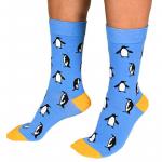 Носки серии В мире животных "Танцующие пингвины. Солнечный день"