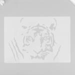 Трафарет пластик "Тигр - взгляд" 26х18 см