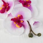 Цветы искусственные "Орхидея молди" 9х66 см, бело-фиолетовый