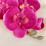 Цветы искусственные "Орхидея молди" 9х66 см, сиреневый