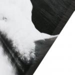 Картина модульная на подрамнике Лебеди в ночи 2шт-25х50, 1шт-30х60 ;60*80 см