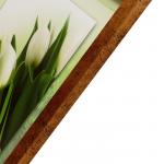 Картина "Белые тюльпаны" 42х107 см рамка микс