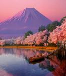 Красочное озеро и гора Фуджи