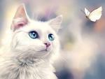 Белая кошечка с голубыми глазами и бабочка