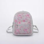 Рюкзак, отдел на молнии, наружный карман, светоотражающий, цвет серый/розовый
