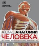 Робертс Э. Атлас анатомии человека. Подробное иллюстрированное руководство