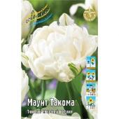 Тюльпан Маунт Такома (8) 1350