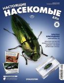 Журнал №54 "Настоящие насекомые" С ВЛОЖЕНИЕМ! Златка хризодема